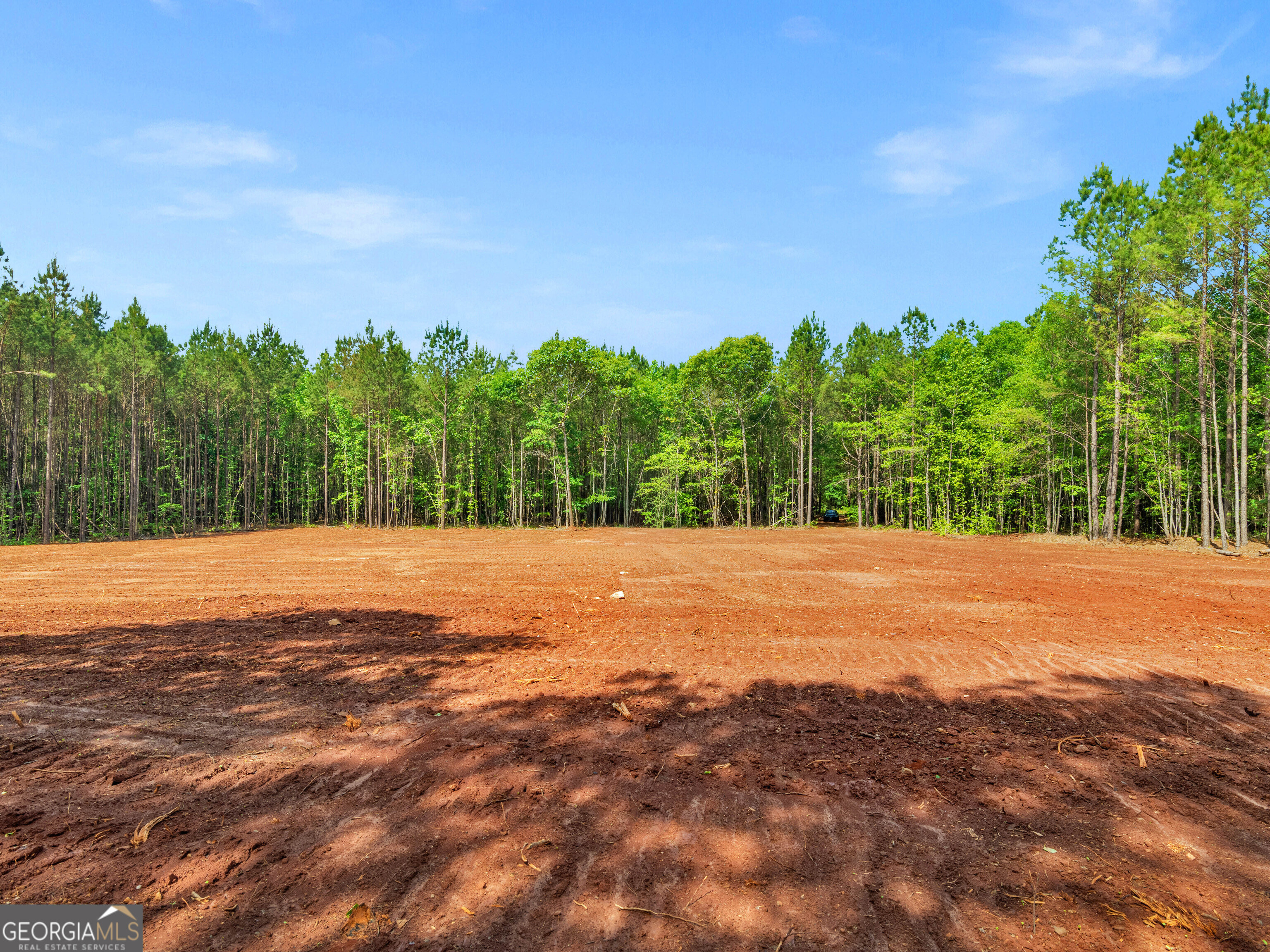 446 Parks Road Forsyth, GA 31029 - Photo 3 of 11 a view of a yard