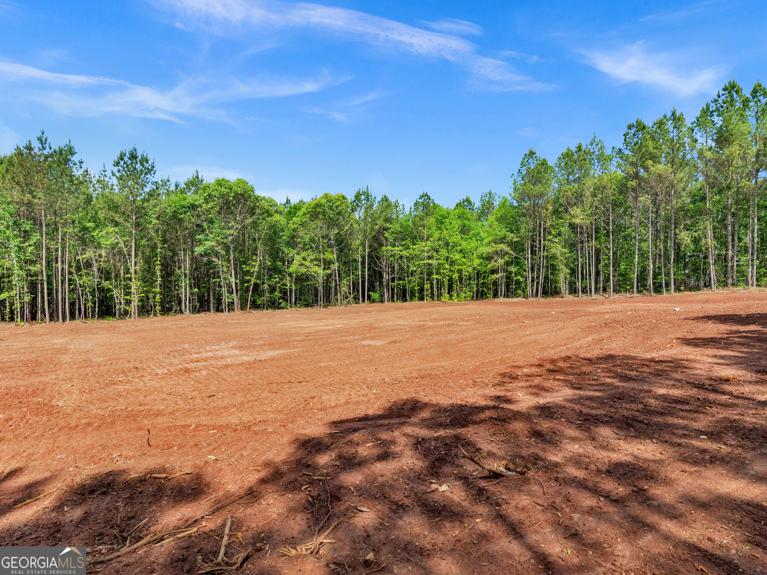 446 Parks Road Forsyth, GA 31029 - Photo 4 of 11 a view of outdoor space and yard