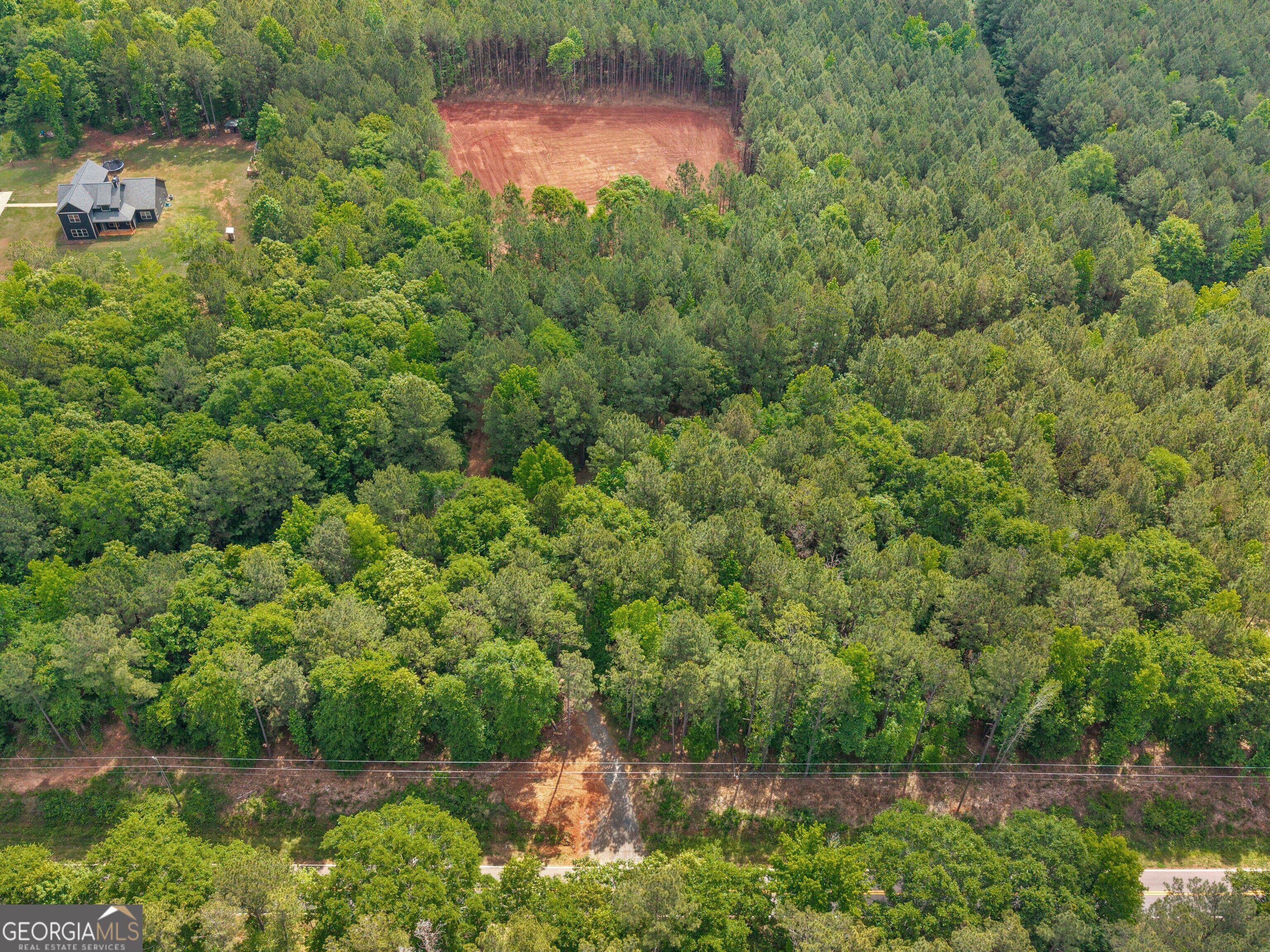 446 Parks Road Forsyth, GA 31029 - Photo 9 of 11 a view of a lush green forest