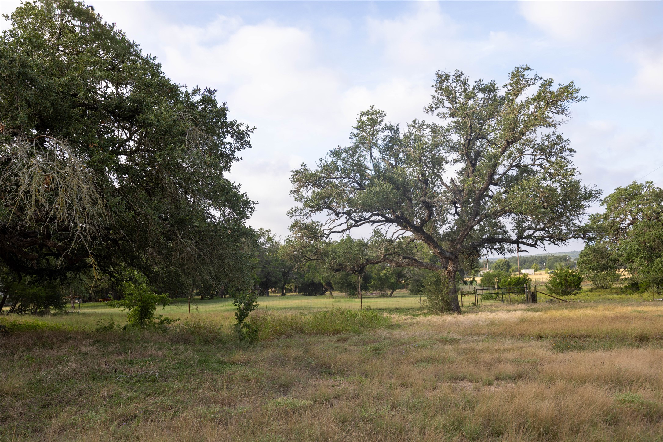 Mature trees frame this expansive, pastoral lot, offering a tranquil rural setting.