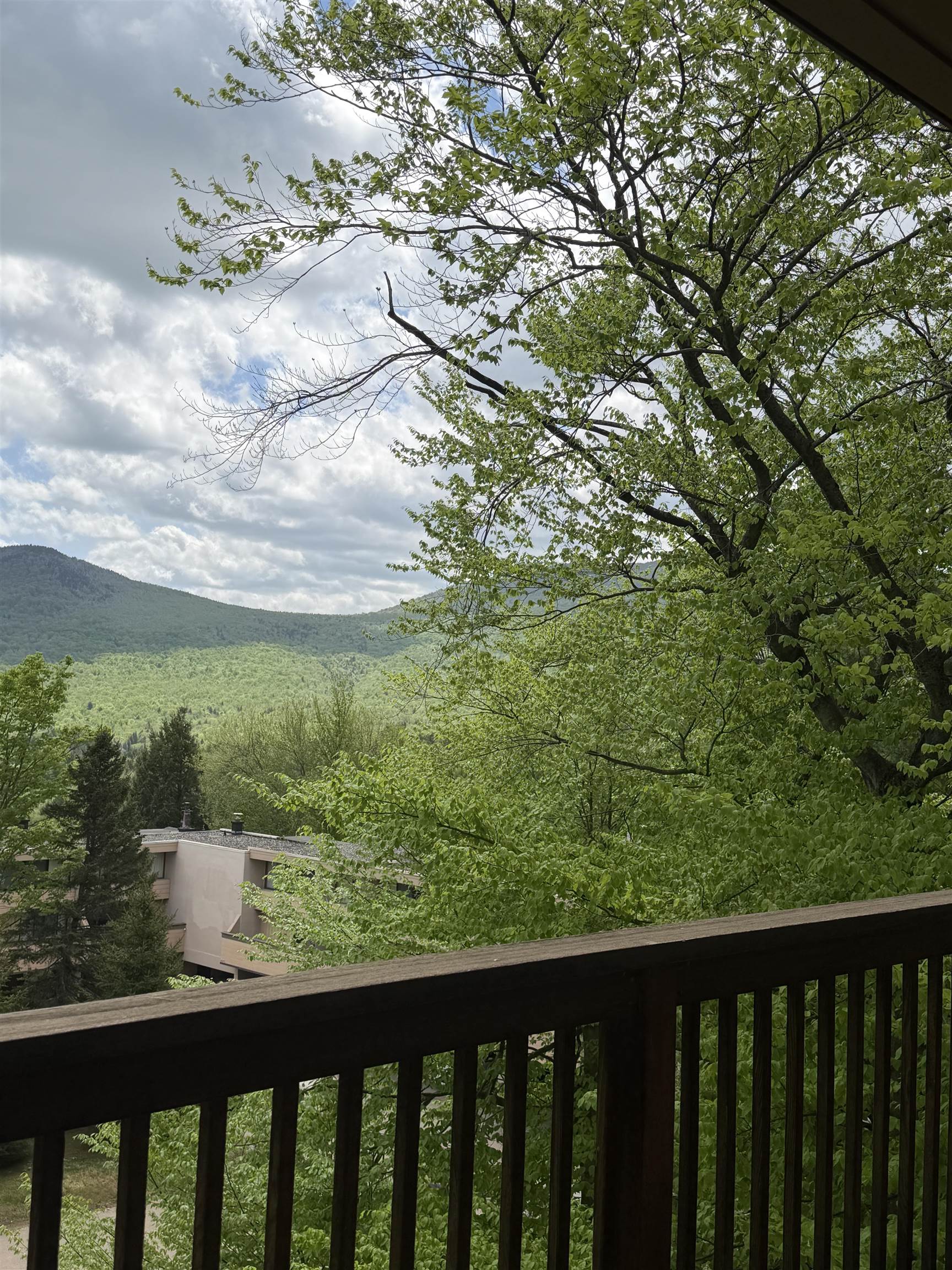 1275 Notchbrook Road, Unit 20 AB Stowe, VT 05672 - Photo 30 of 35
