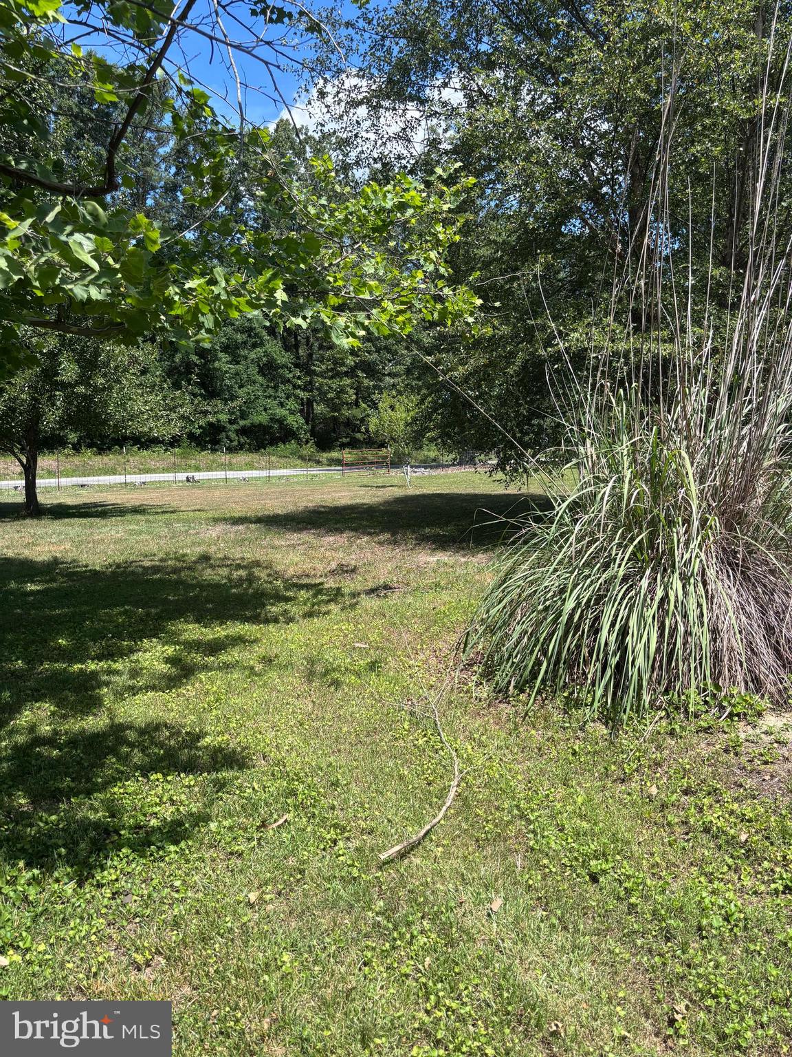 15358 Binns Road Doswell, VA 23047 - Photo 13 of 14