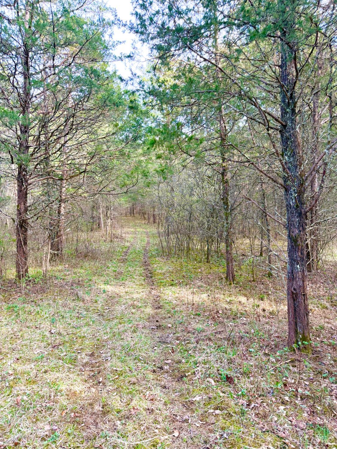 1600 Magee Jones Road Peebles, OH 45660 - Photo 40 of 91