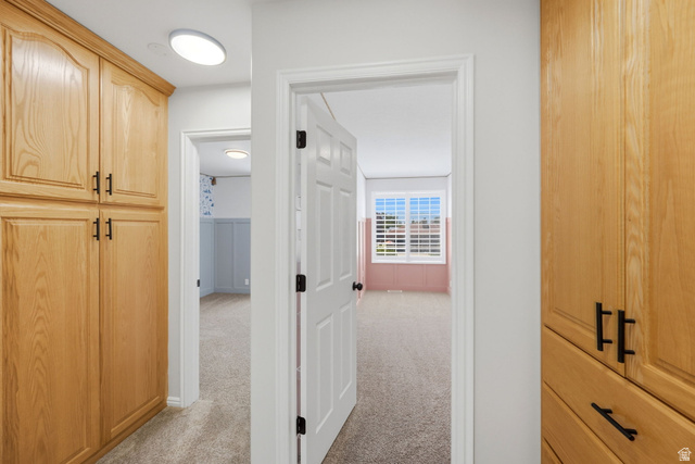 3732 Campbell Road Tooele, UT 84074 - Photo 36 of 69 Hallway featuring built-in wood cabinetry with dark hardware and carpeted flooring