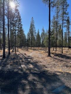 Pinewood Place, Unit 22 La Pine, OR 97739 - Photo 5 of 6 pinewood