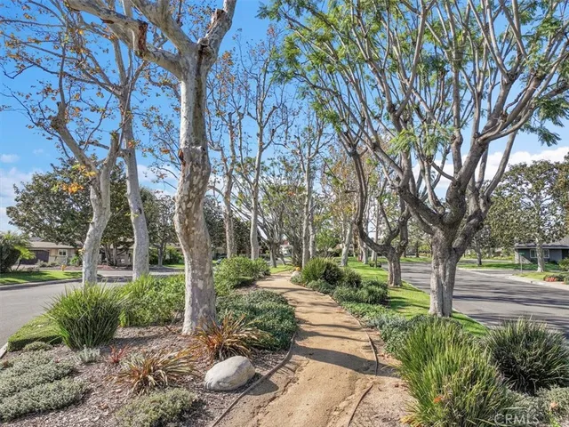 a view of a yard with plants and trees