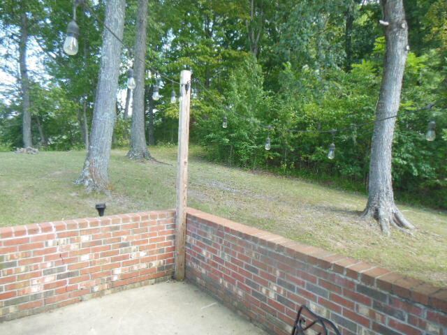 6266 Piney Woods Road Riner, VA 24149 - Photo 29 of 33 a view of a backyard with large trees