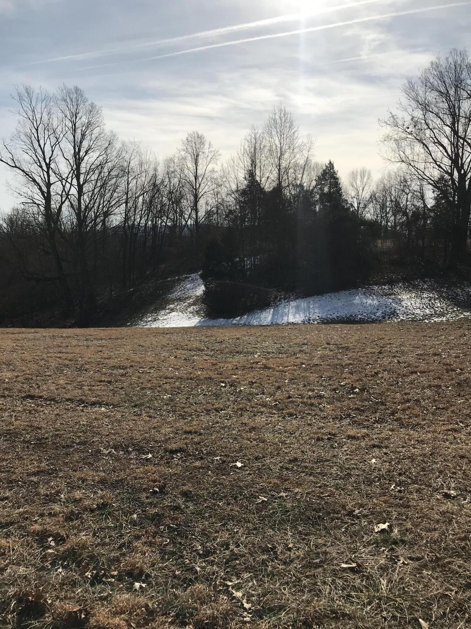 945 Lillies Ferry Road Winchester, KY 40391 - Photo 6 of 16 IMG_0214 (1)