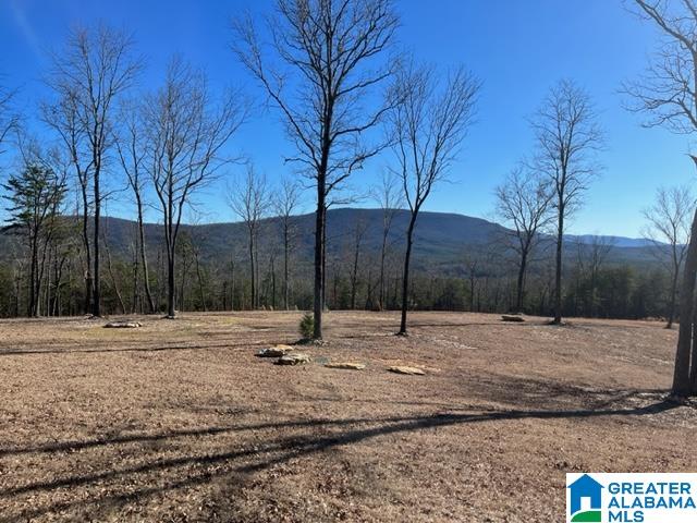 2575 Kentuck Road, Unit 40 AC Oxford, AL 36203 - Photo 1 of 23