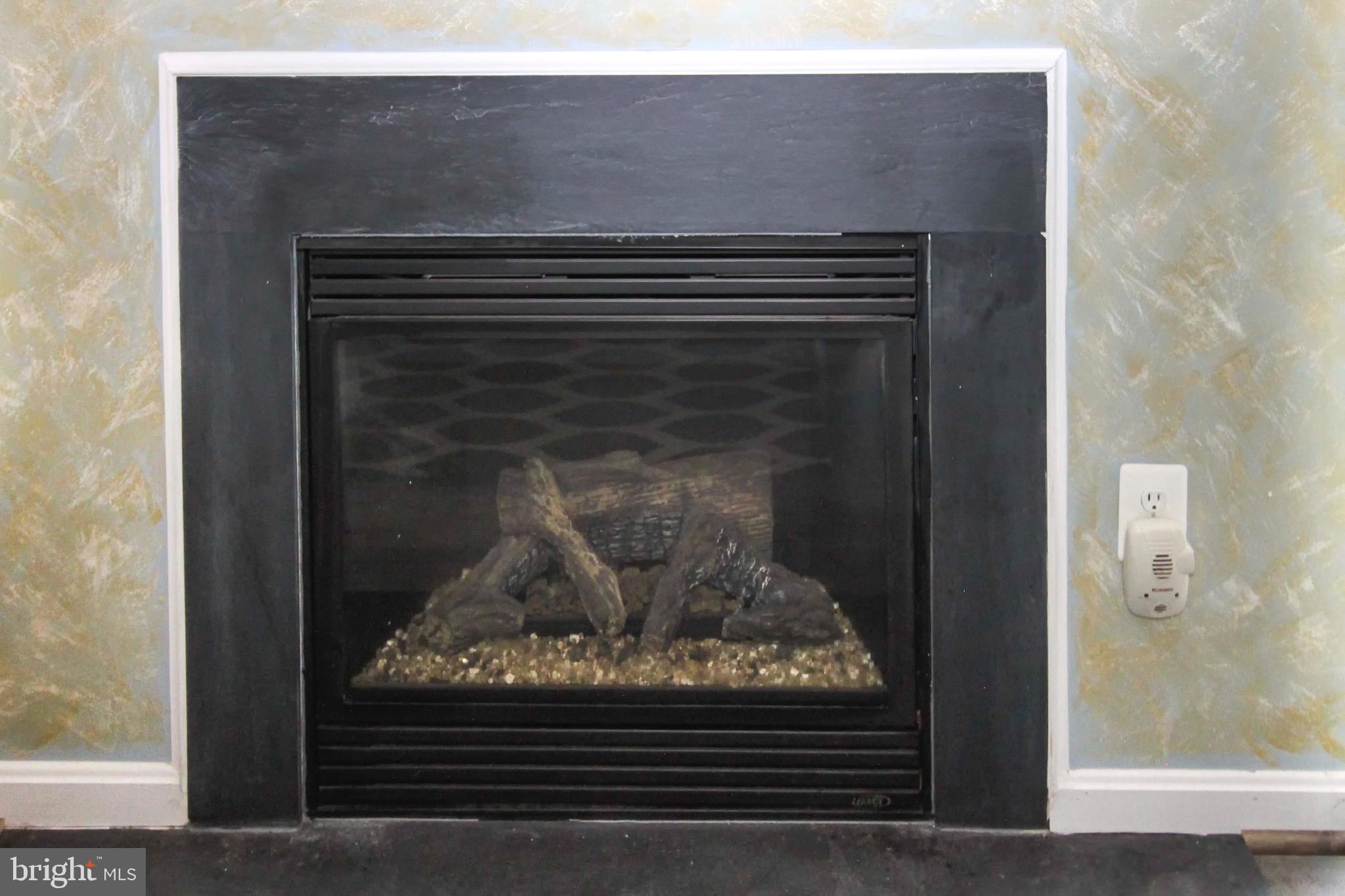 12905 Yellow Jacket Road Hagerstown, MD 21740 - Photo 26 of 31 Family Room Fireplace