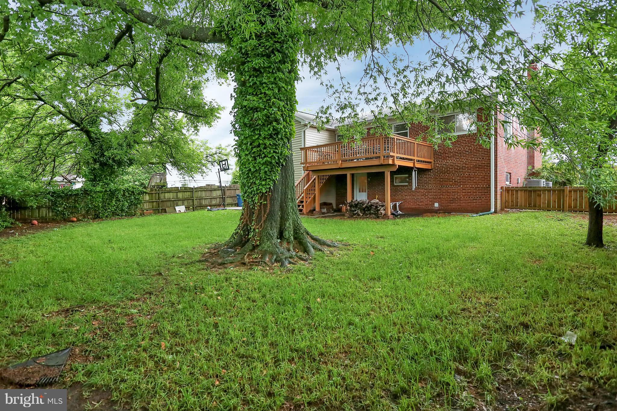 6217 Hanover Avenue Springfield, VA 22150 - Photo 26 of 30 Large open rear yard with mature shade trees