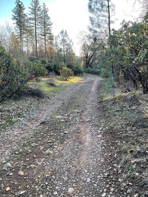 160 Ac Road Oak Run, CA 96069 - Photo 15 of 39 20240322022104315736000000-o