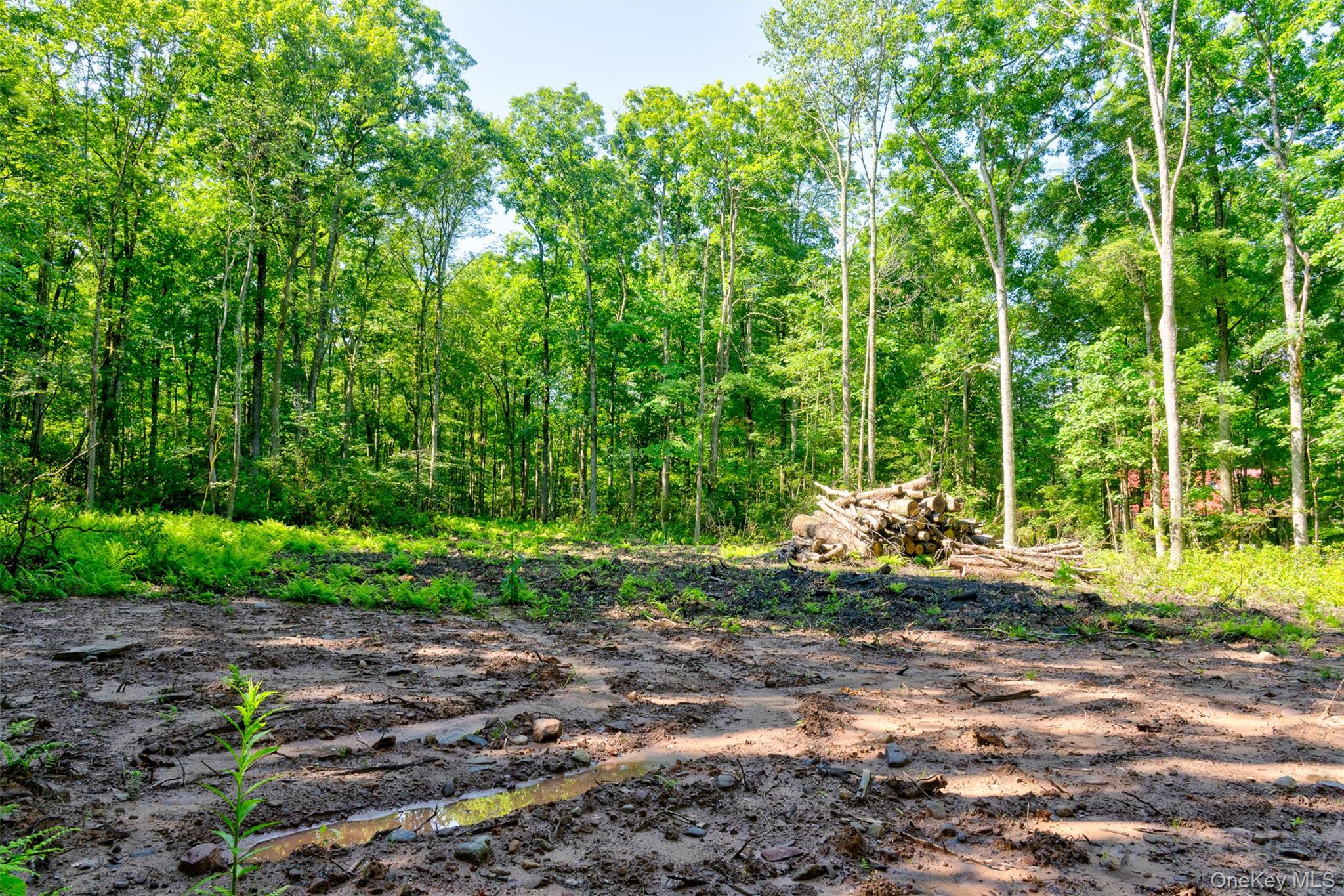 Lot 22 Perry Pond Road Narrowsburg, NY 12764 - Photo 9 of 15 Gallery Image 9