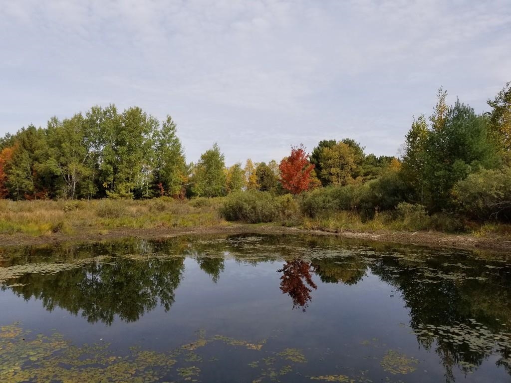 2089 Sigma Road Southeast Kalkaska, MI 49646 - Photo 17 of 57 1905734-16.JPG