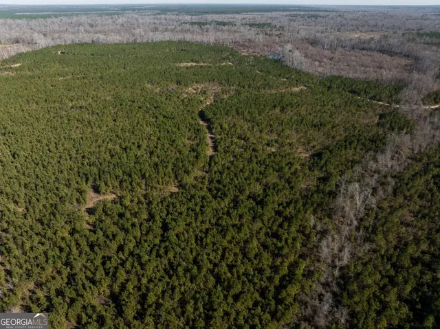 $1,250,000 | 0 East Hwy 107, Broxton, GA 31519