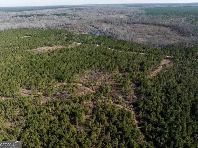 $1,250,000 | 0 East Hwy 107, Broxton, GA 31519