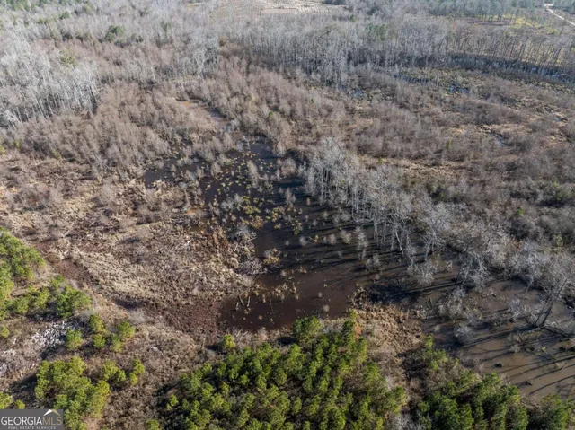 $1,250,000 | 0 East Hwy 107, Broxton, GA 31519