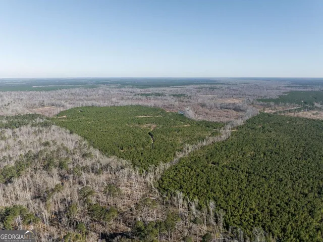 $1,250,000 | 0 East Hwy 107, Broxton, GA 31519