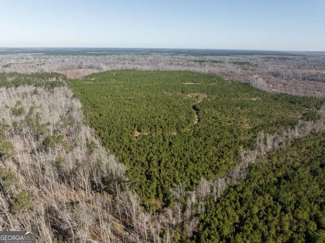 $1,250,000 | 0 East Hwy 107, Broxton, GA 31519