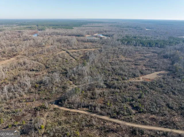 $1,250,000 | 0 East Hwy 107, Broxton, GA 31519