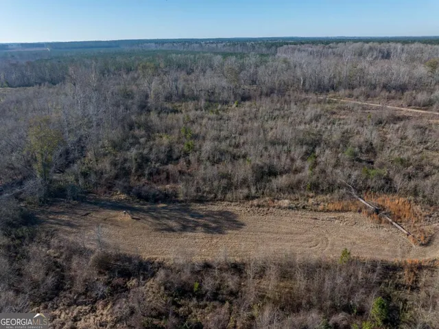 $1,250,000 | 0 East Hwy 107, Broxton, GA 31519