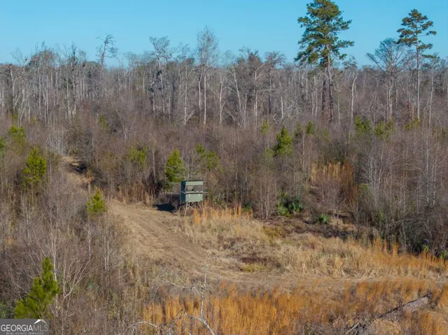 $1,250,000 | 0 East Hwy 107, Broxton, GA 31519