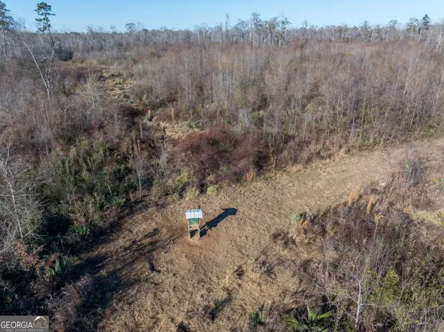 $1,250,000 | 0 East Hwy 107, Broxton, GA 31519