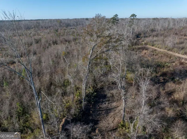 $1,250,000 | 0 East Hwy 107, Broxton, GA 31519