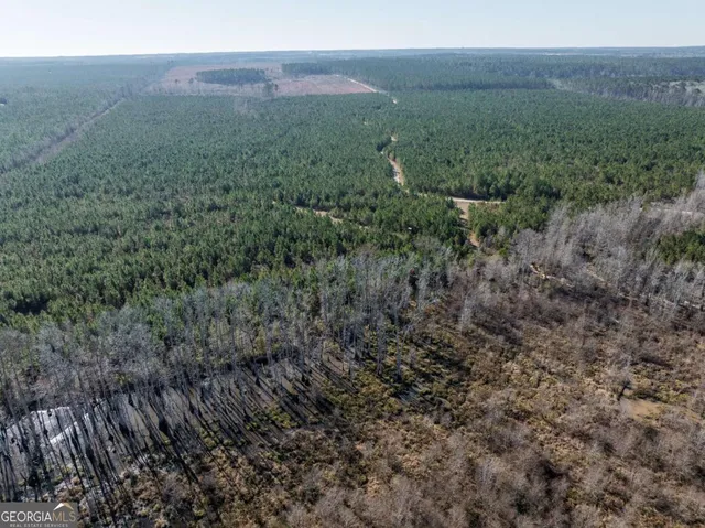 $1,250,000 | 0 East Hwy 107, Broxton, GA 31519