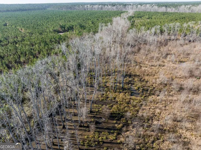 $1,250,000 | 0 East Hwy 107, Broxton, GA 31519