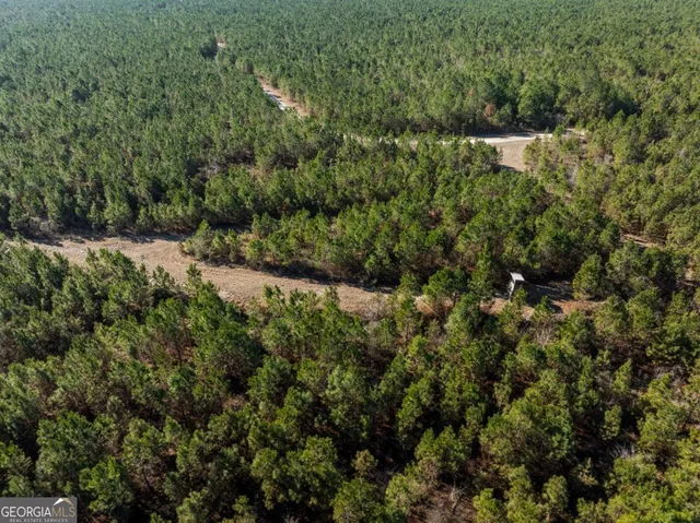$1,250,000 | 0 East Hwy 107, Broxton, GA 31519