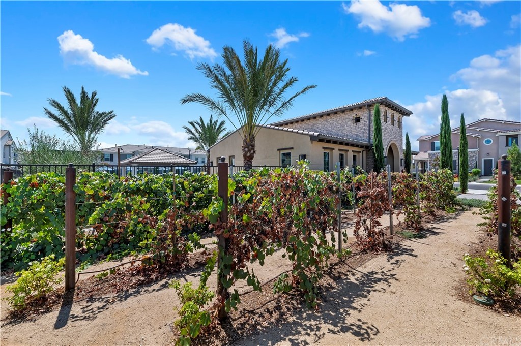 14557 Sienna Place Eastvale, CA 92880 - Photo 35 of 35 a view of a house with a street