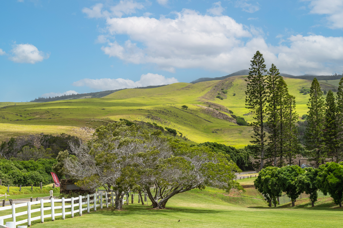 66-1685 Kohala Mountain Road Kamuela, HI 96743 - Photo 25 of 26 a view of an ocean and a yard