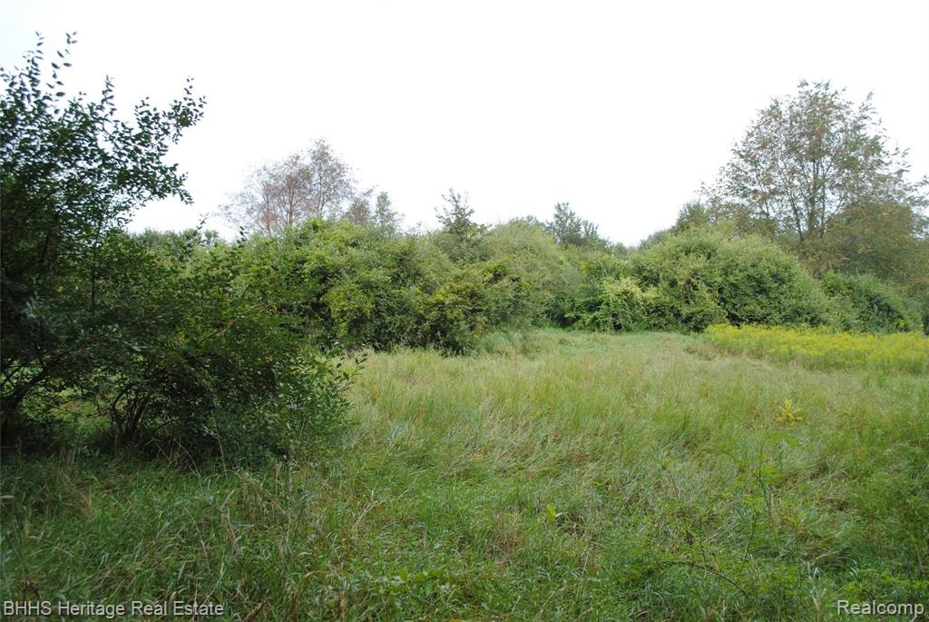 0 Wasson Road Gregory, MI 48137 - Photo 3 of 7