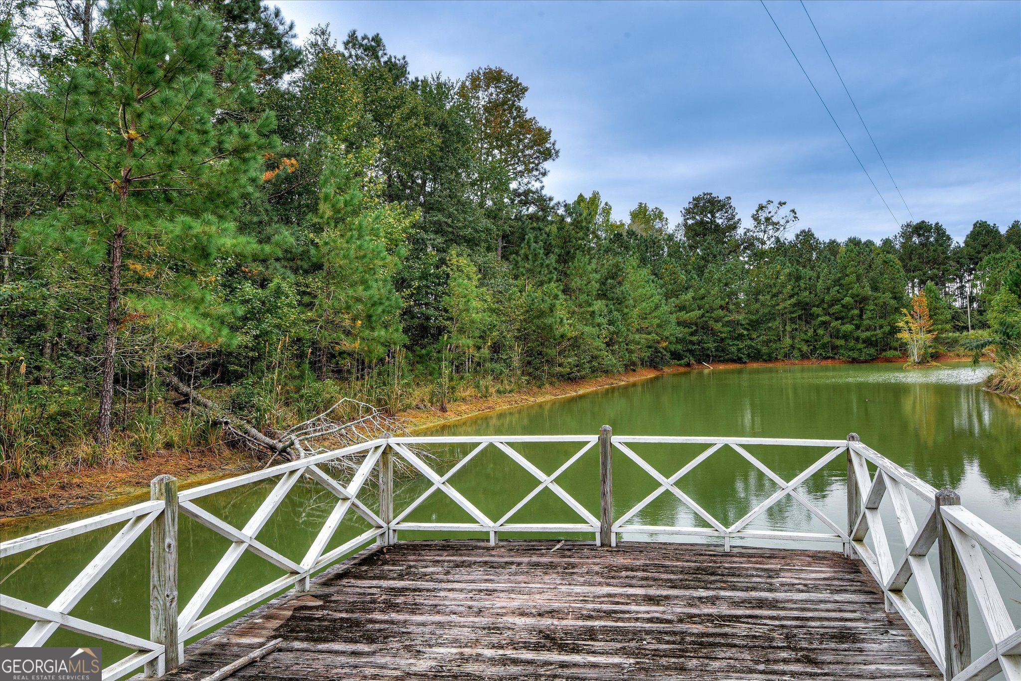 1321 Brett Road Wadley, GA 30477 - Photo 46 of 47 a wooden building with lake view