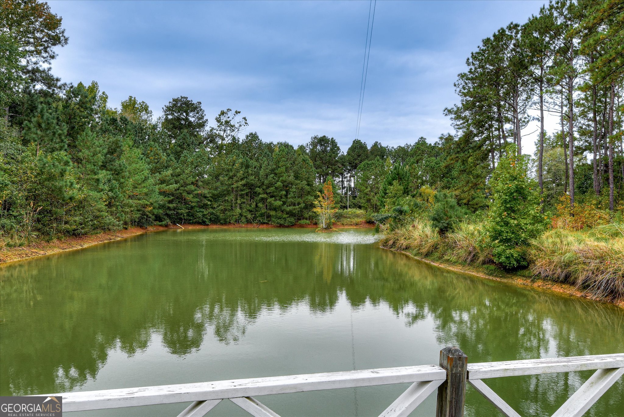 1321 Brett Road Wadley, GA 30477 - Photo 47 of 47 a view of lake