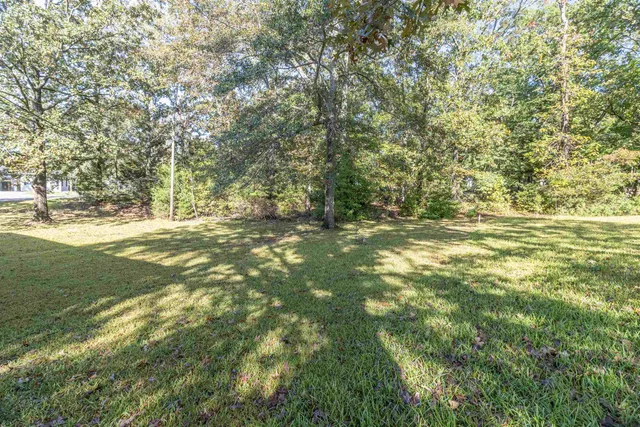 a view of a yard with a tree