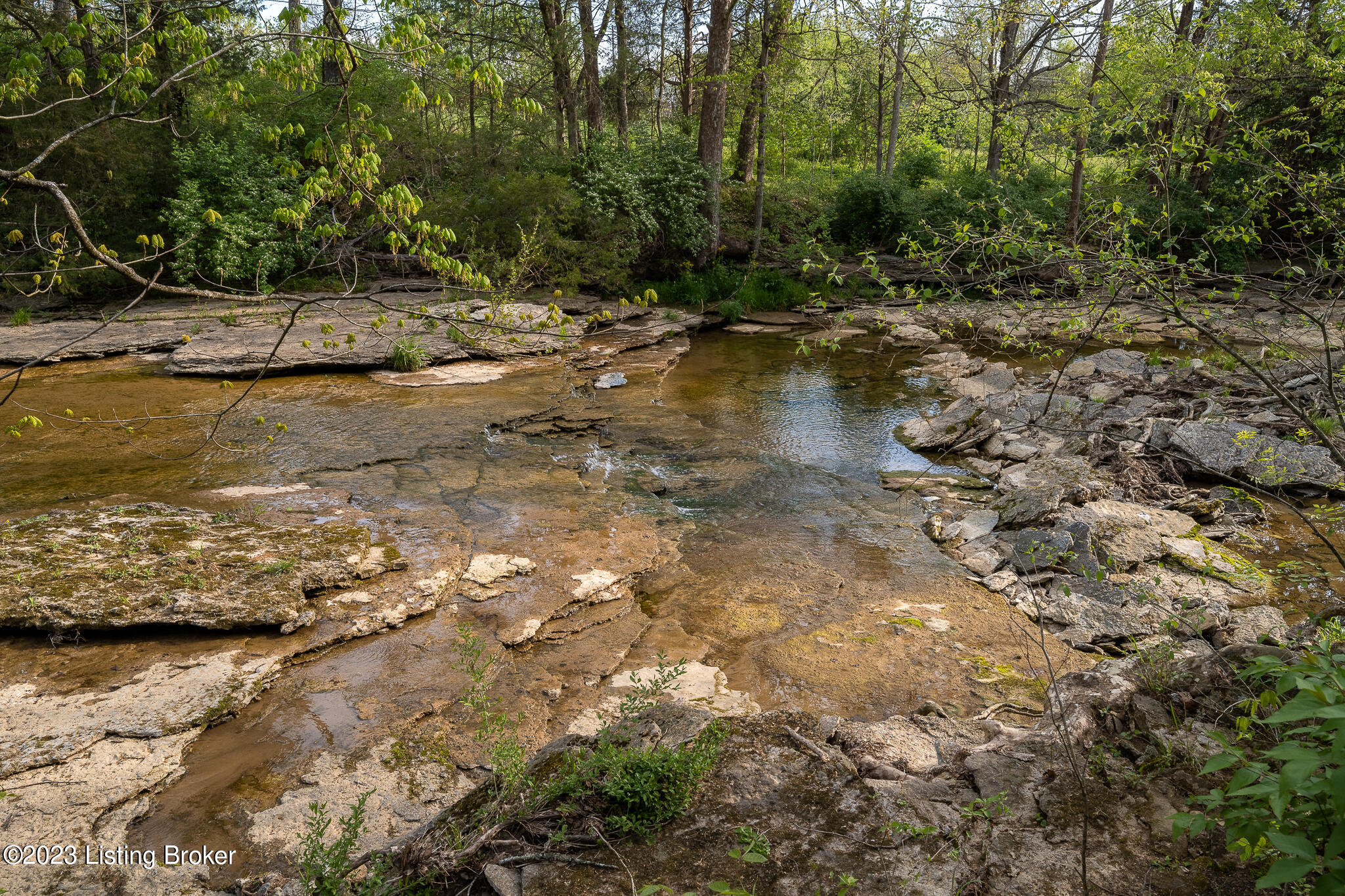 7962 Plum Run Road Bloomfield, KY 40008 - Photo 57 of 66 7962 Plum Run Rd-23