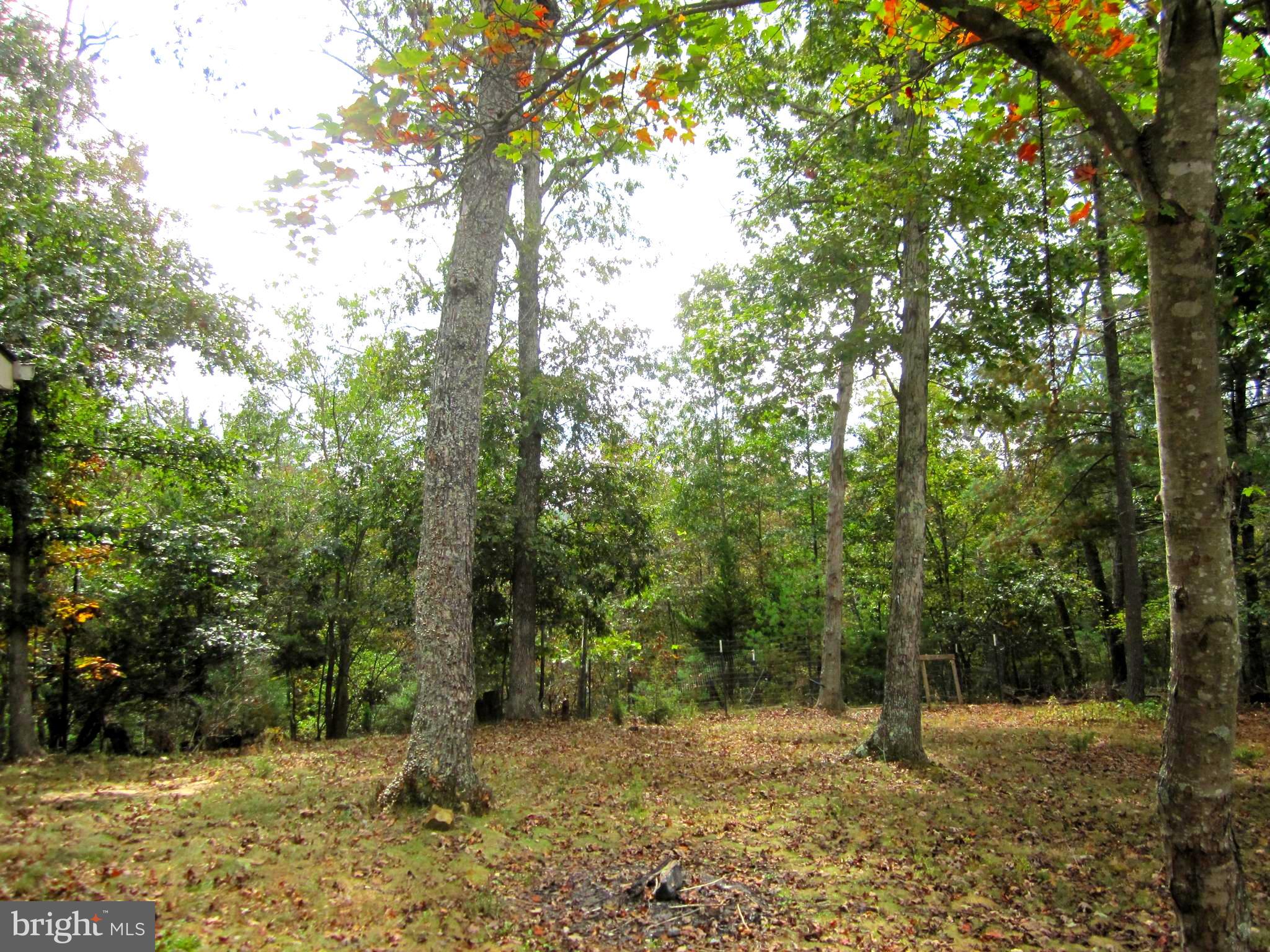 17 Davis Court Basye, VA 22810 - Photo 18 of 18 a view of a yard with trees