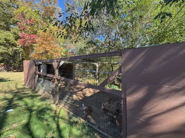 a view of a park with large trees