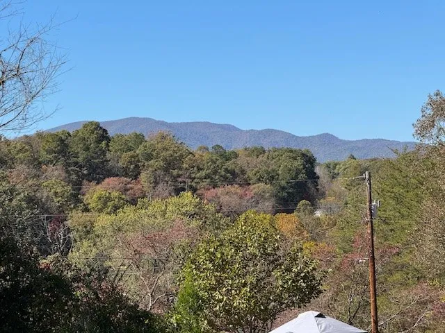 $887,000 | 22 Orange Lane, McCaysville, GA 30555