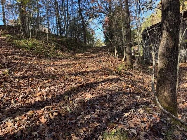 $887,000 | 22 Orange Lane, McCaysville, GA 30555