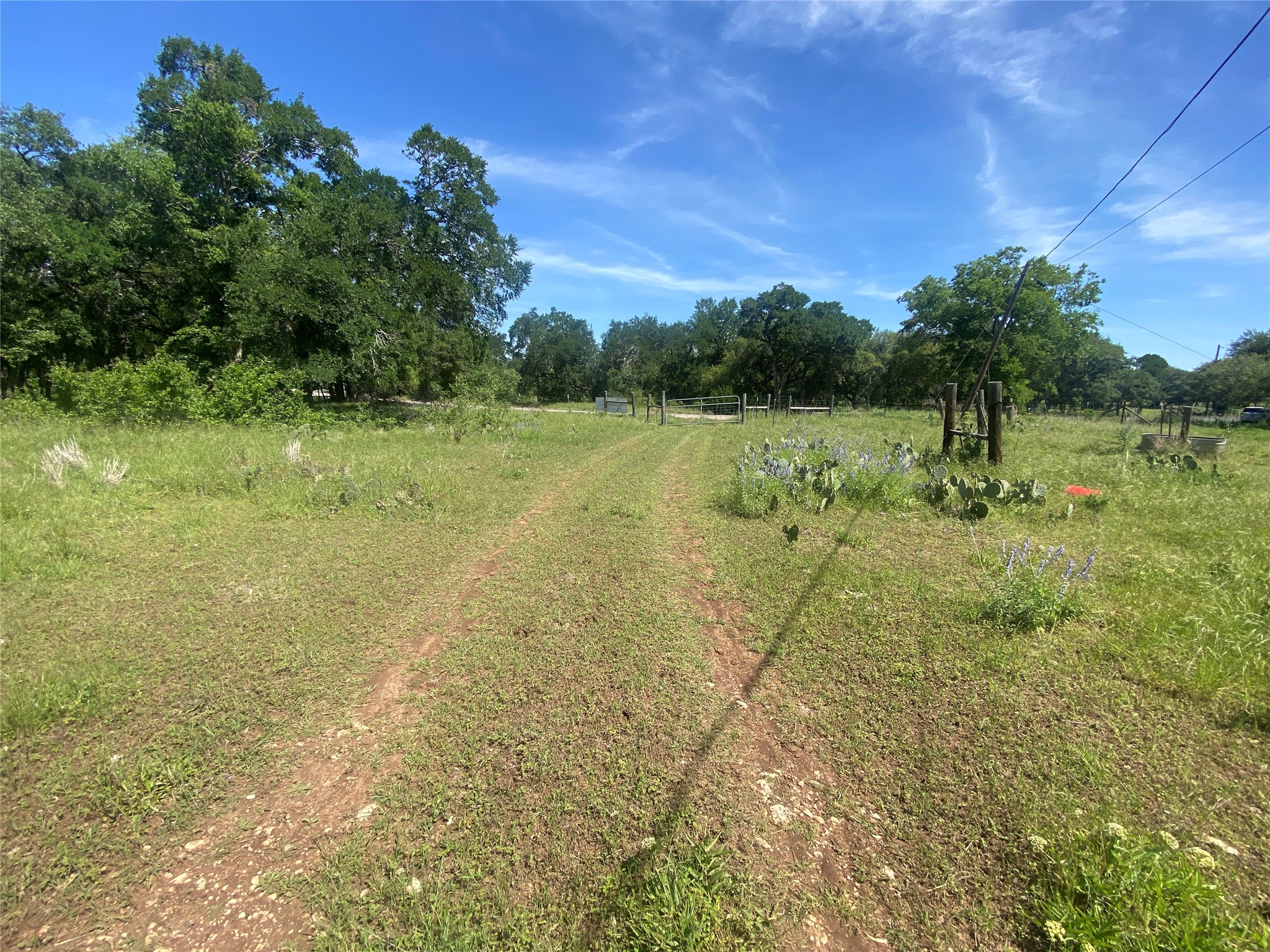 3215 County Road 305 Jarrell, TX 76537 - Photo 19 of 23