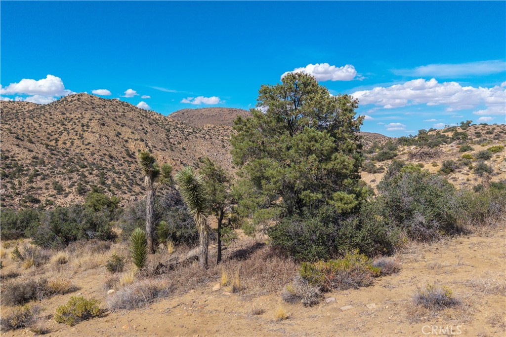 48620 Madison Road Landers, CA 92285 - Photo 58 of 72