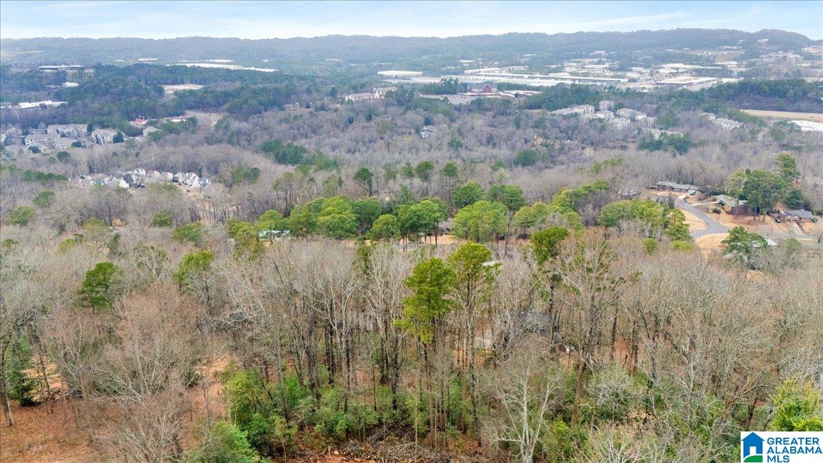 1042 Shades Crest Road Birmingham, AL 35226 - Photo 71 of 80