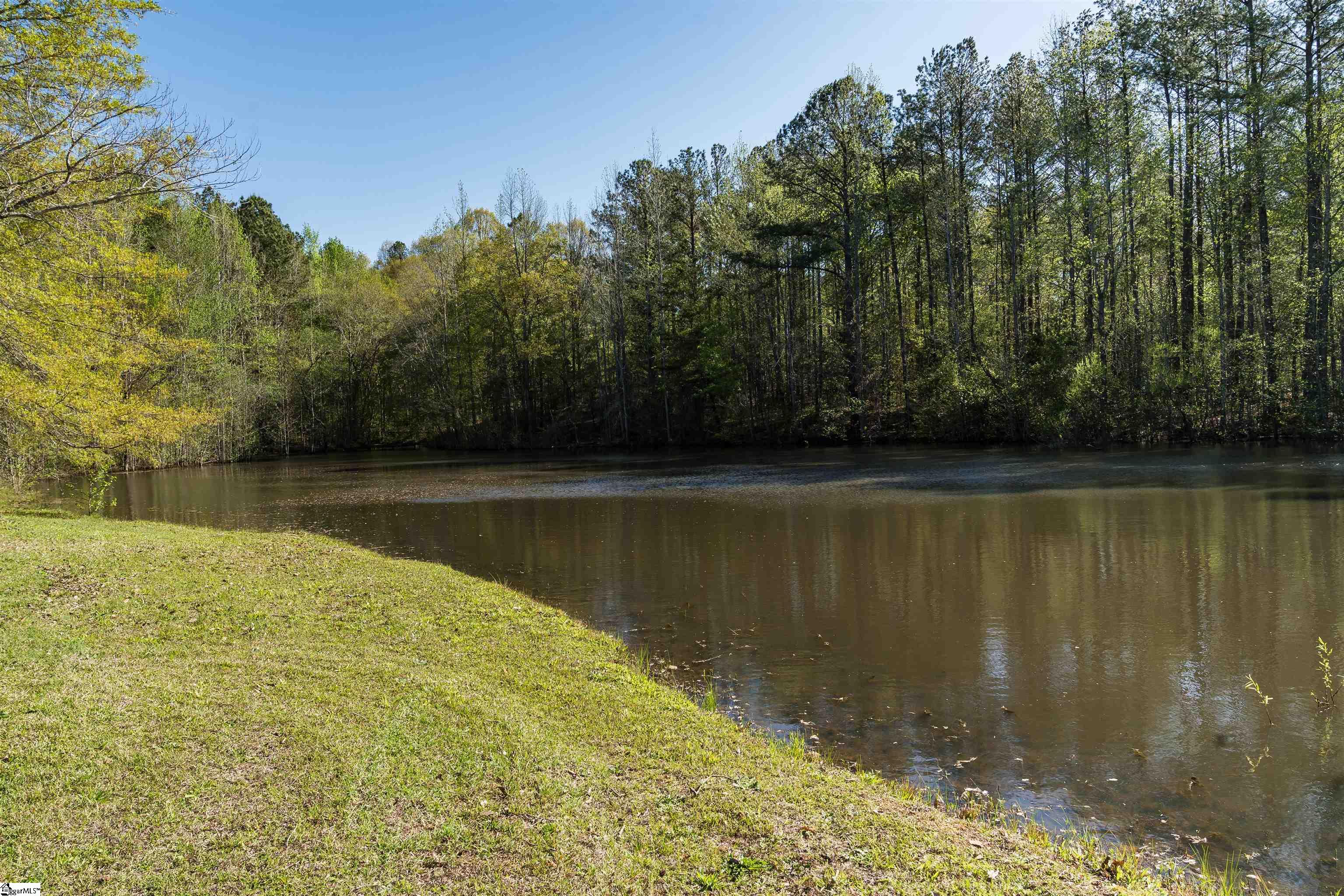 201 Franklin Road Enoree, SC 29335 - Photo 6 of 34