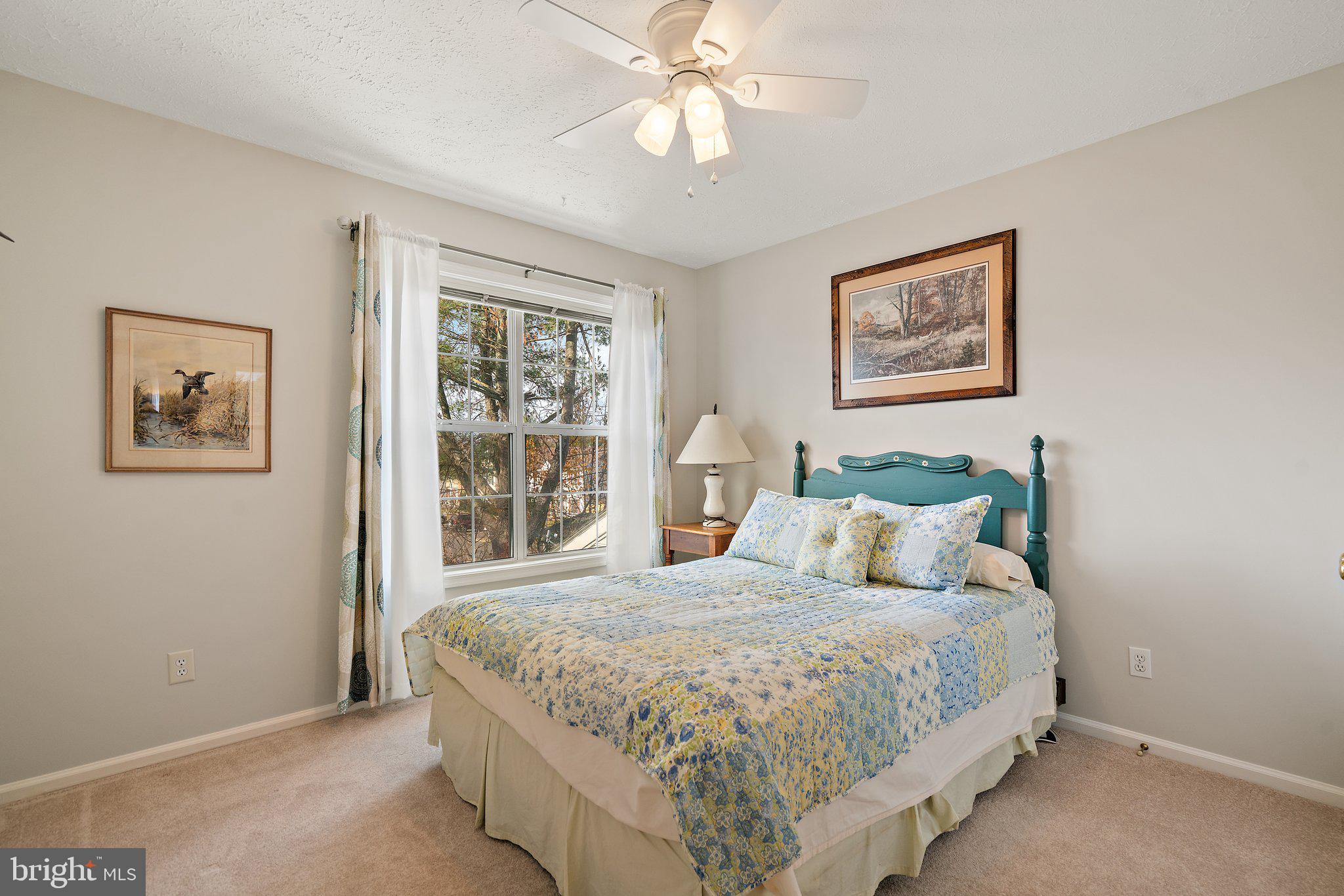 693 Ripplebrook Drive Culpeper, VA 22701 - Photo 25 of 36 Gallery Image 25