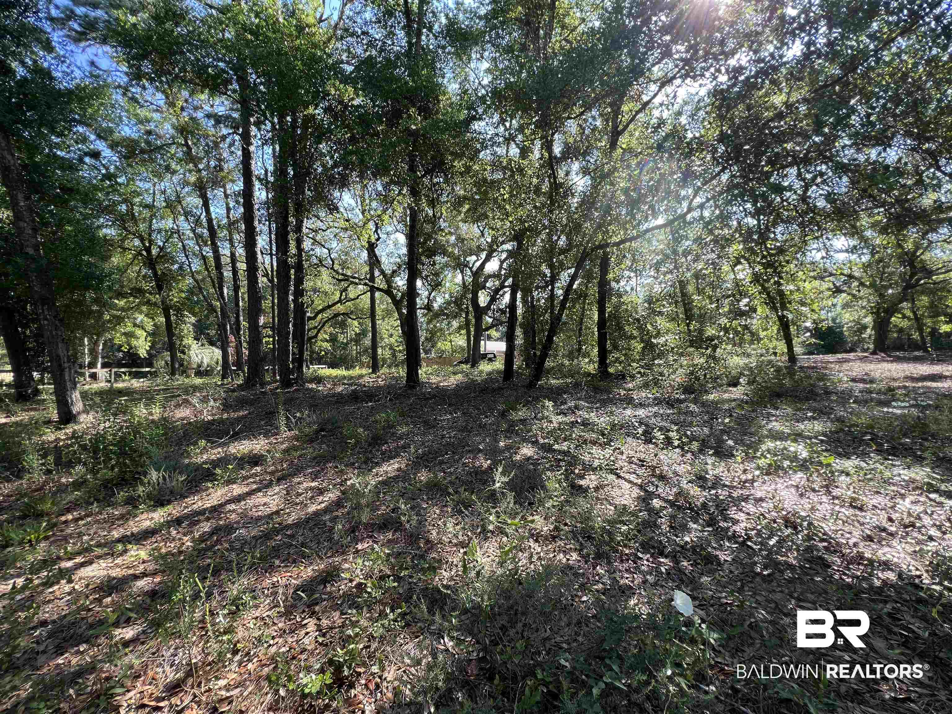 9545 North Bayou Road Lillian, AL 36549 - Photo 12 of 34 View of landscape