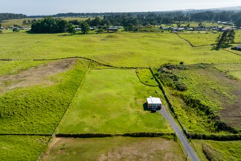 a view of a big yard with large trees
