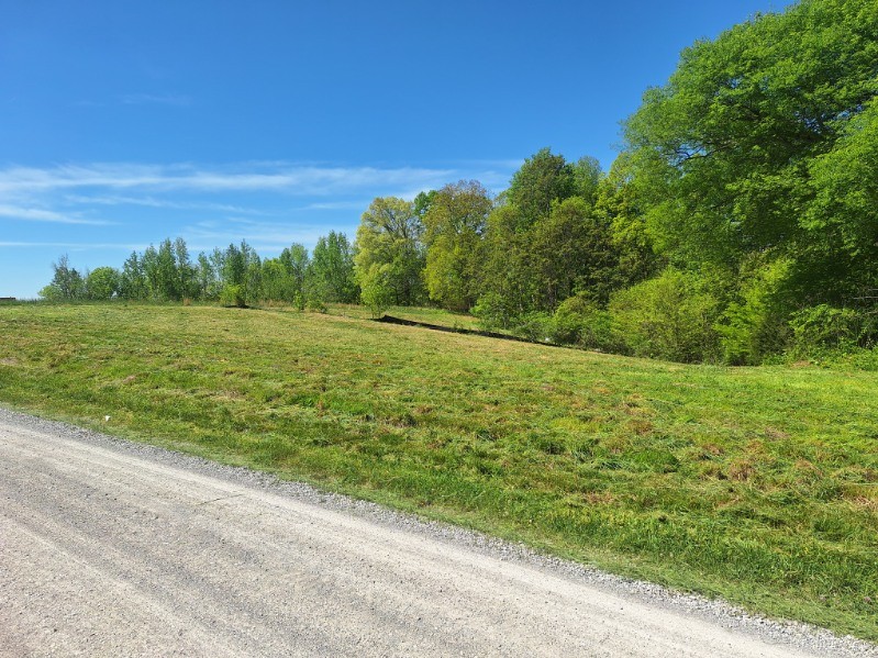 0 Lake Bluff Baxter, TN 38544 - Photo 20 of 23 a view of a big yard with large trees